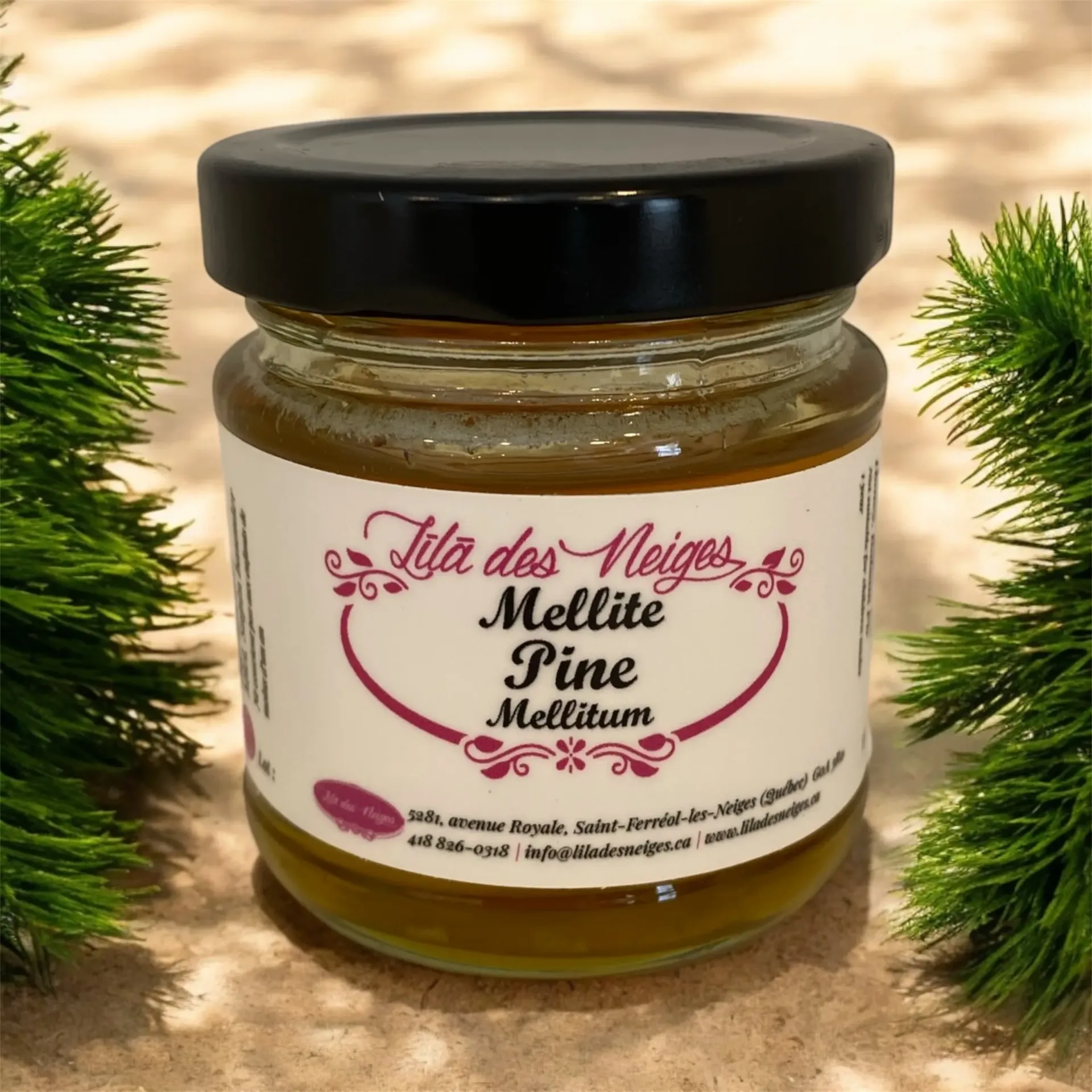 Mellite de sapin